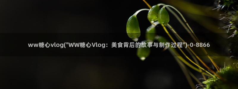 糖心vlgo免费水冰月