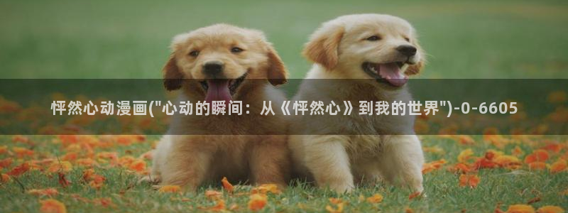 在线看动漫