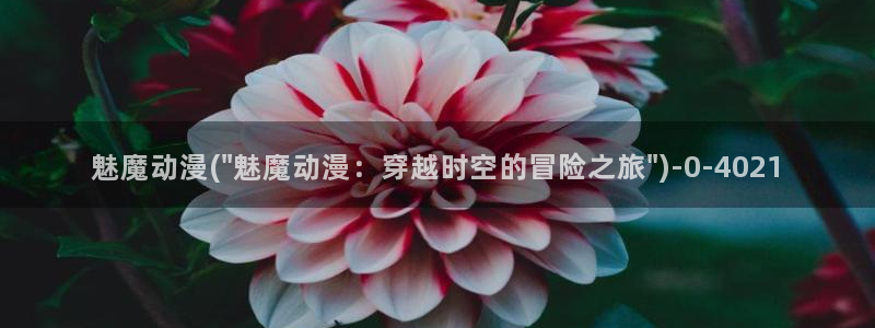 星星动漫网
