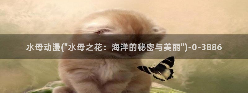 柑橘味香气动漫：水母动漫(\