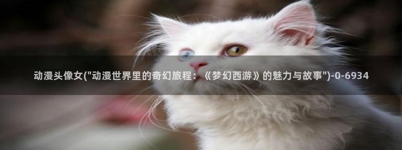 动漫新番