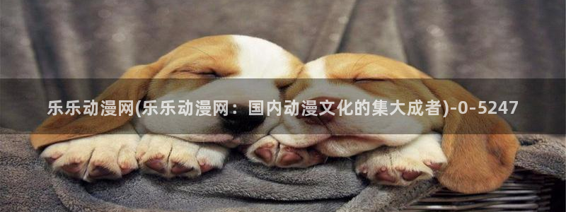 火影忍者动漫