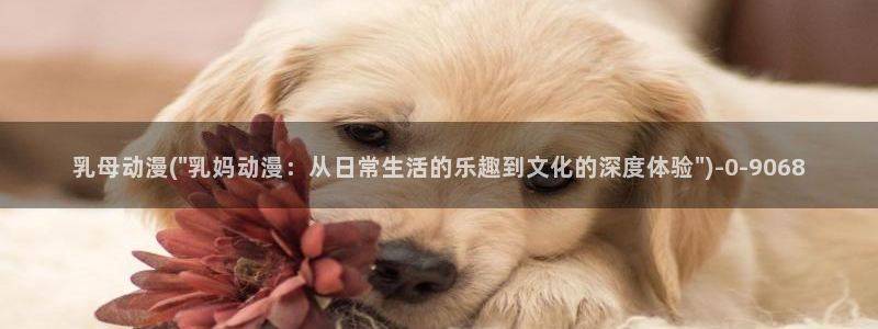 宫崎骏动漫