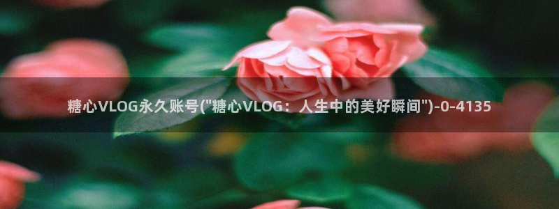 糖心velgo
