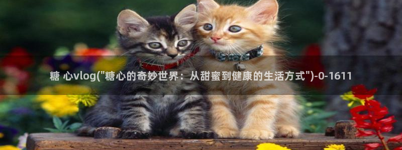 糖 心vlog